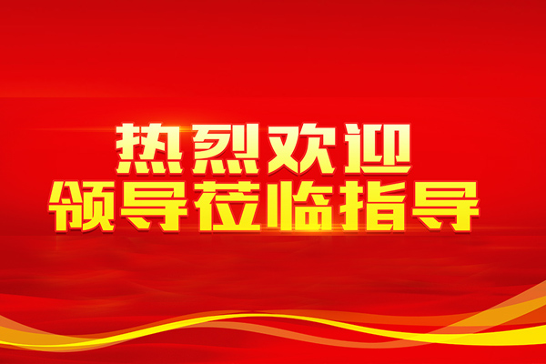 2019年12月3日，安徽省六安市舒城县委书记金德元等领导莅临河北k8凯发环境总部考察，充分肯定了公司近年来的努力和成绩。