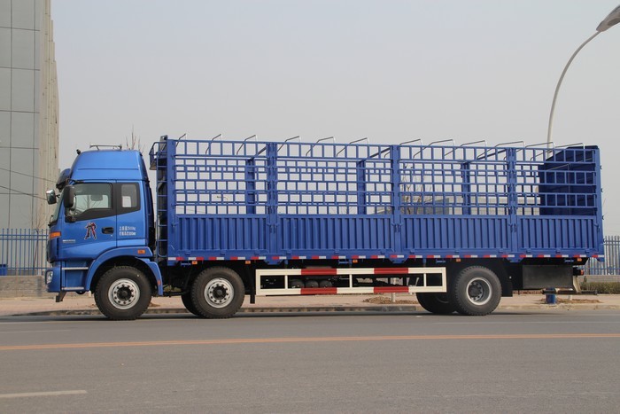 Carton Cargo Transport Vehicle