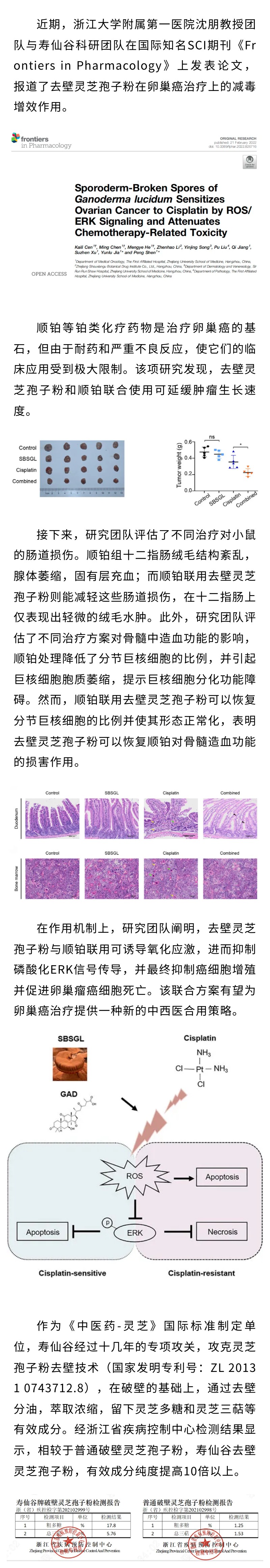 【科研新知】增效减毒!去壁灵芝孢子粉可提高卵巢癌的顺铂敏感性, 并减轻化疗相关毒性 【科研新知】增效减毒!去壁灵芝孢子粉可提高卵巢癌的顺铂敏感性, 并减轻化疗相关毒性