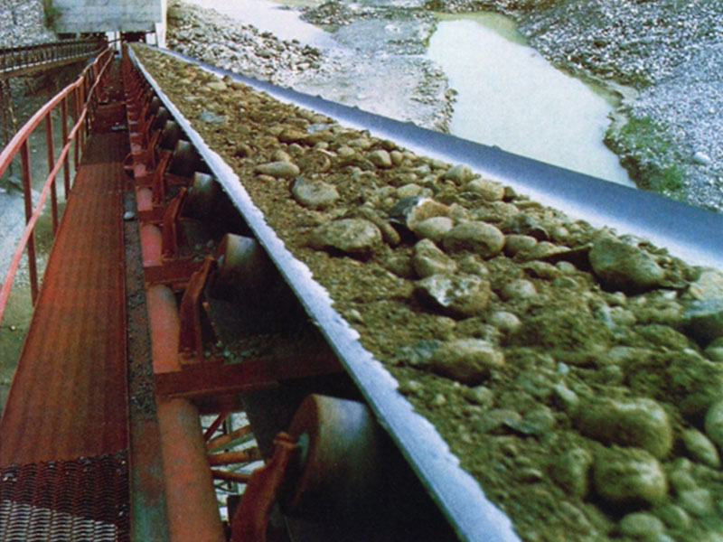 Nylon conveyor belt