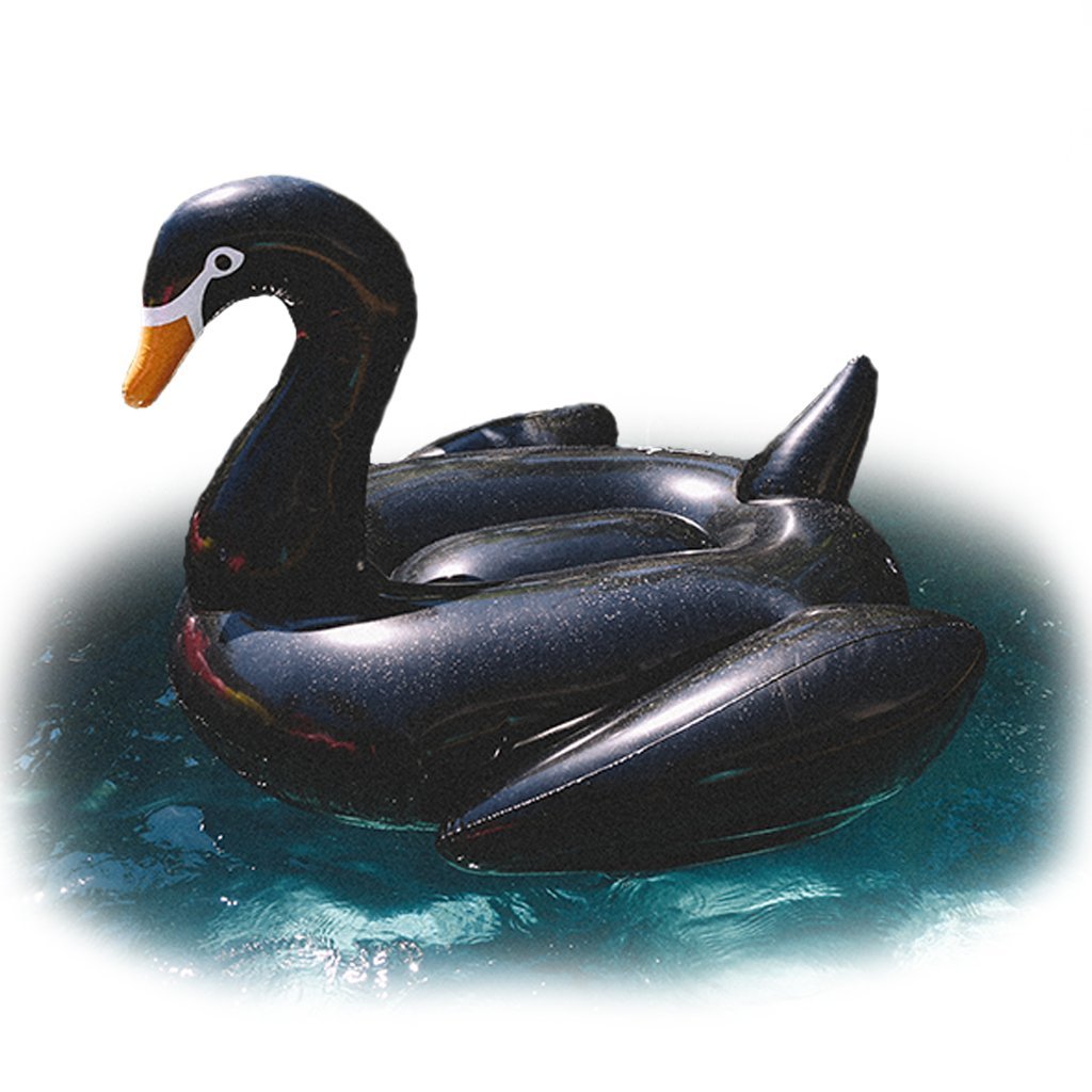 黑天鵝浮排