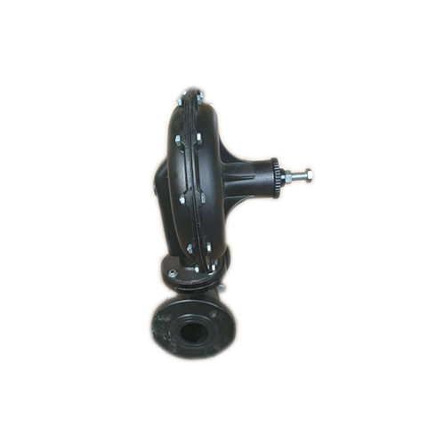振星白底圖 (36)