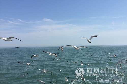 山东省农发行授信200亿支持海洋生态文明建设