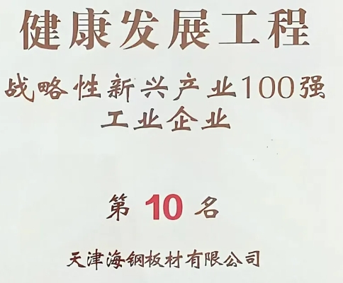 喜訊：天津海鋼板材有限公司榮獲天津市“戰(zhàn)略性新興產(chǎn)業(yè)100強(qiáng)”榜單第十名！