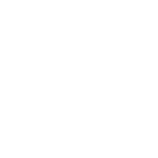 所獲榮譽