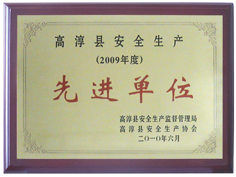 2009年度高淳縣安全生產(chǎn)先進(jìn)單位