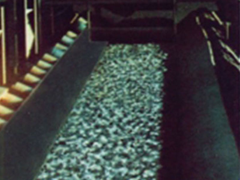 Oil-resistant conveyor belt