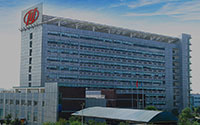 Company profile