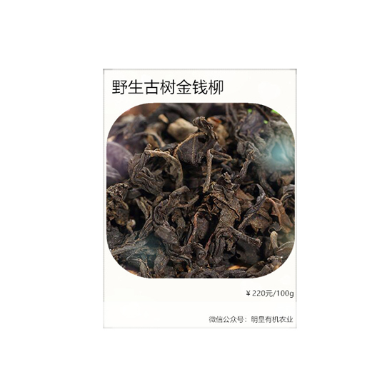 金錢柳
