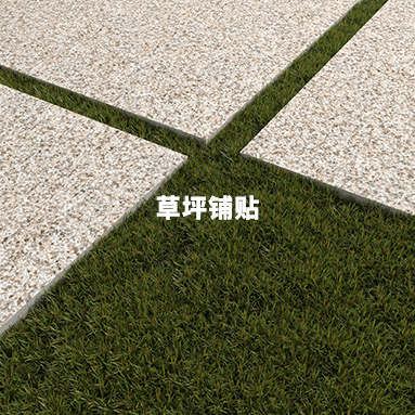 這是描述信息