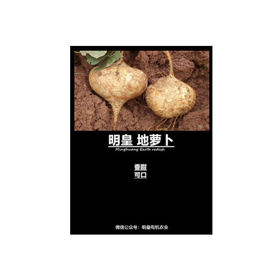 明皇地蘿卜