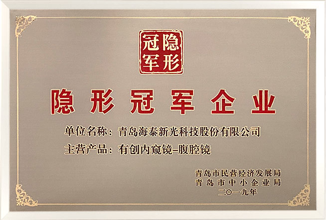 隐形冠军企业