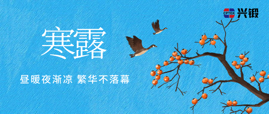 寒露丨晝暖夜漸涼，繁華不落幕