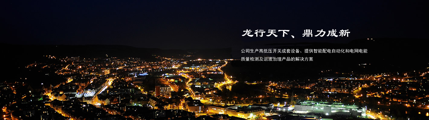 秦皇島龍鼎電氣有限公司 秦皇島龍鼎電氣有限公司