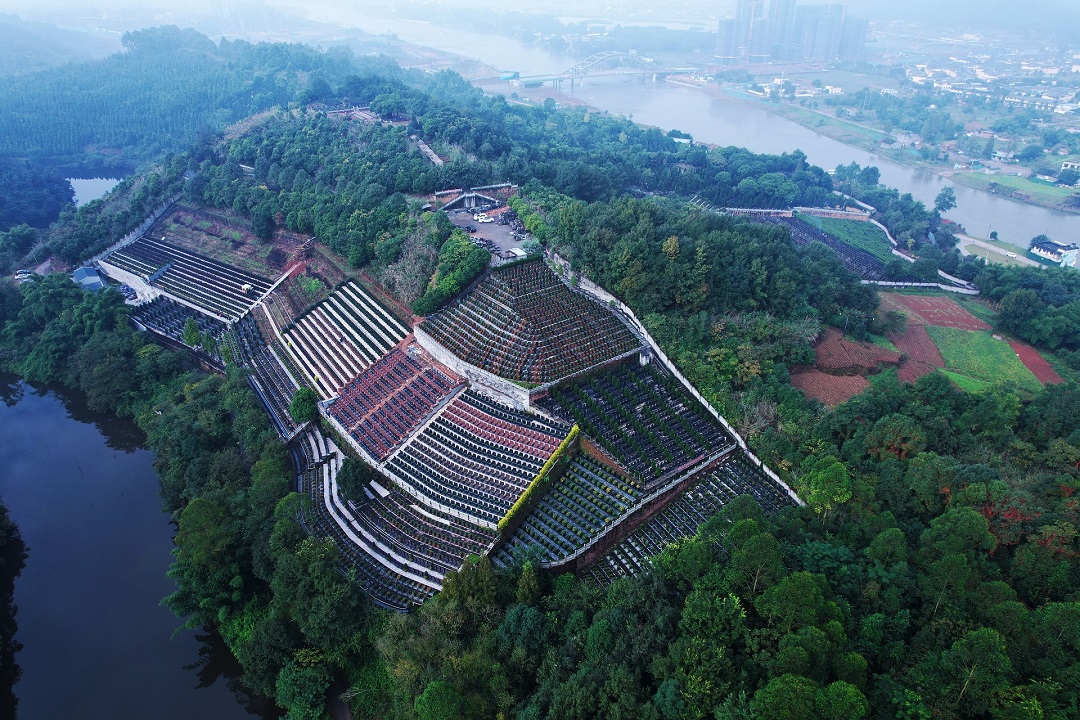 乘龙墓区