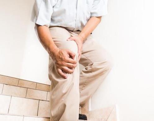 硫酸軟骨素可以改善骨骼質量