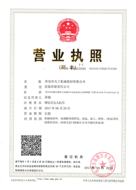 Xian Tiangong Business-Zertifikat Xian Tiangong Business-Zertifikat