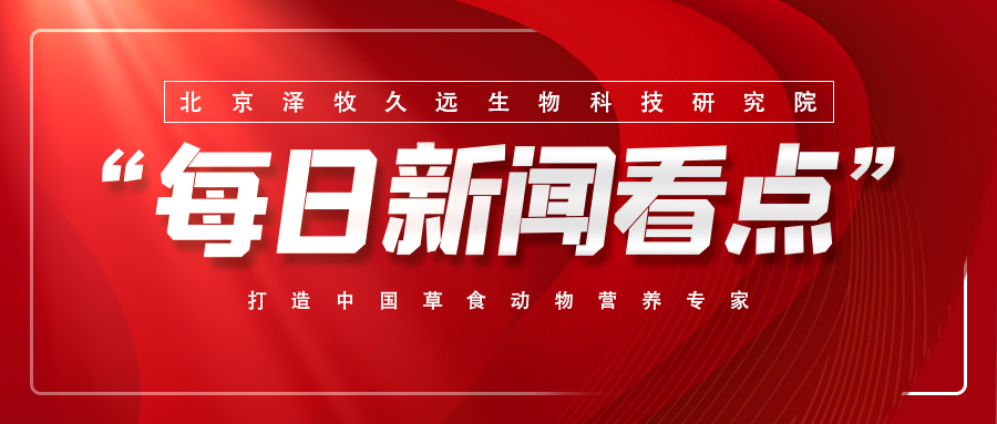 這是描述信息