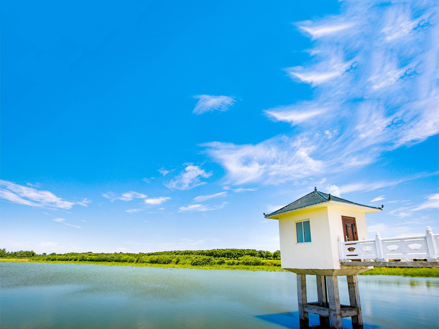 荊州區(qū)幸福堰水庫(kù)除險(xiǎn)加固工程