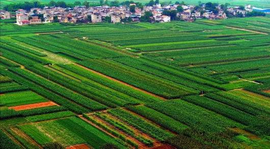 《中華人民共和國土壤污染防治法》——國家關于生物有機肥料政策法規