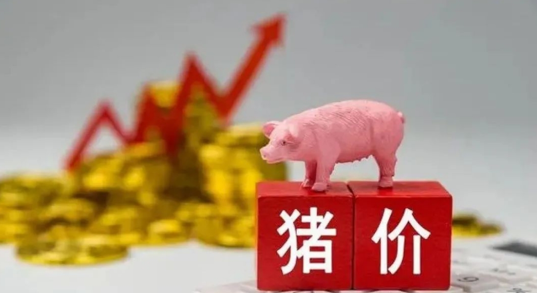 21省豬價(jià)齊漲！創(chuàng)近期最大漲幅，看牧原、溫氏、海大、神農(nóng)等巨頭如何布局2025