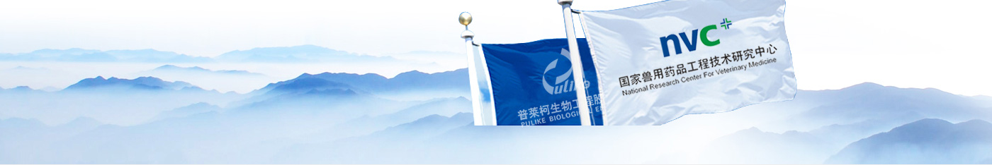 關于 關于