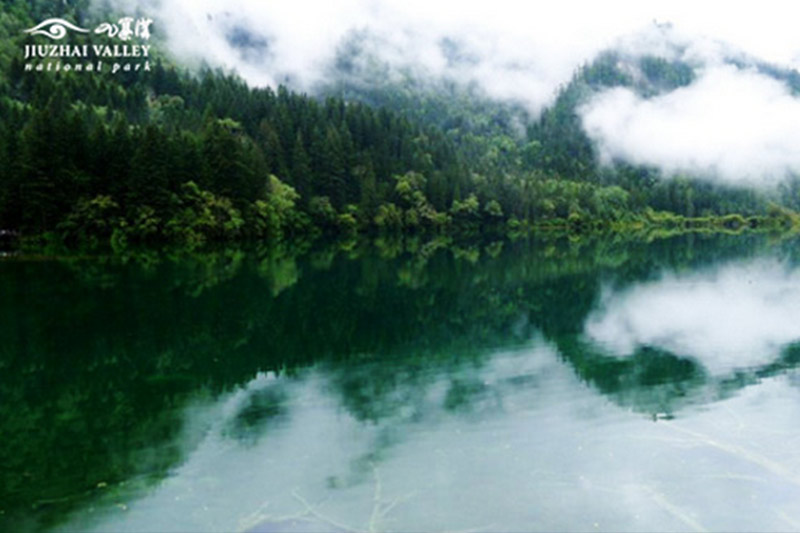 Summer Jiuzhai Beauty