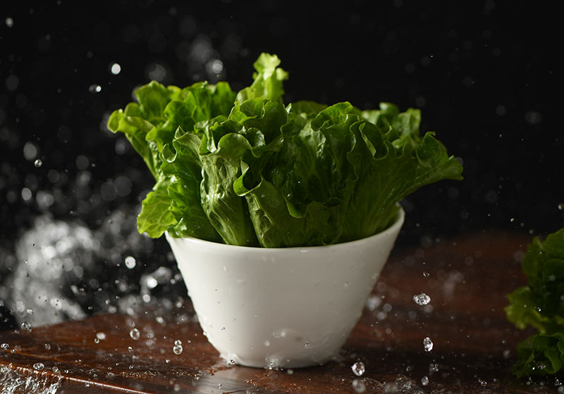 生菜