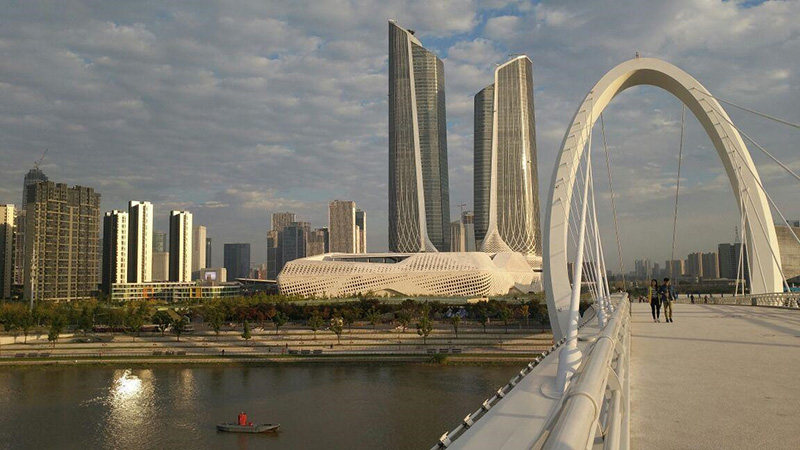 C007 C007