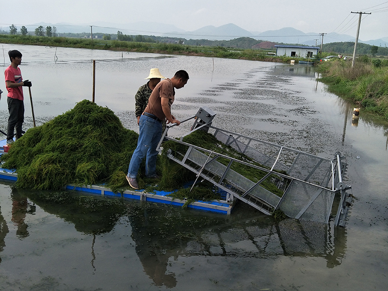 水上割草機(jī)供應(yīng)