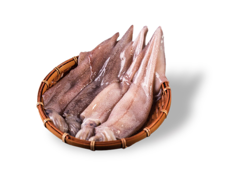 魷魚