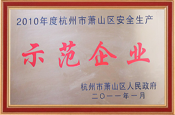 2010示范企業(yè)