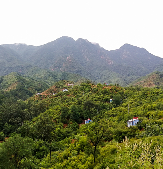 國(guó)家柴雞生態(tài)養(yǎng)殖基地