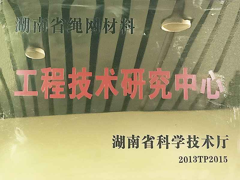 工程技術(shù)研究中心