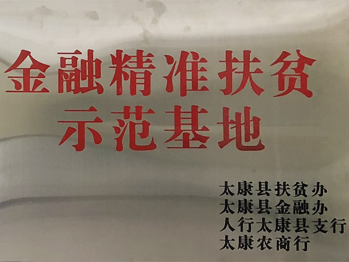 金融精準(zhǔn)扶貧示范基地