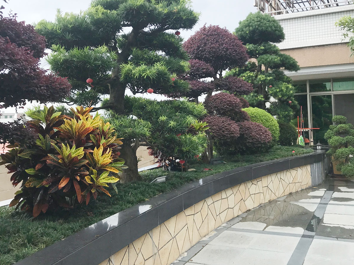 綠化景觀