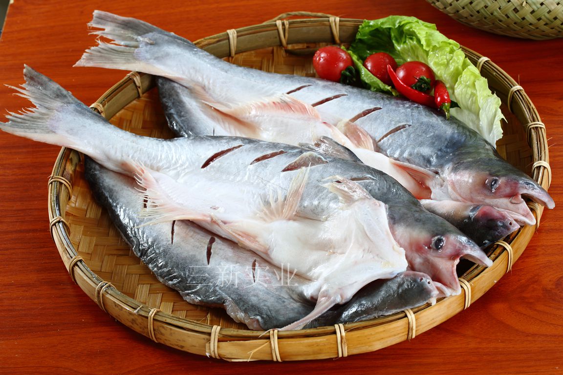 巴沙魚