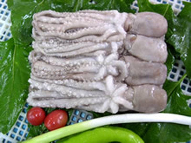 魚類03