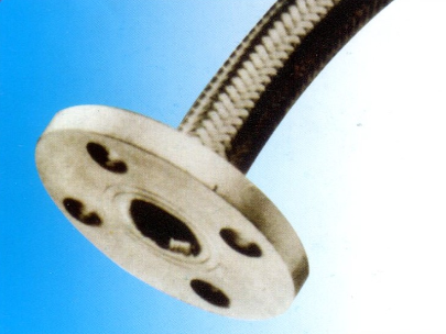 不銹鋼金屬軟管(BT-FL3)