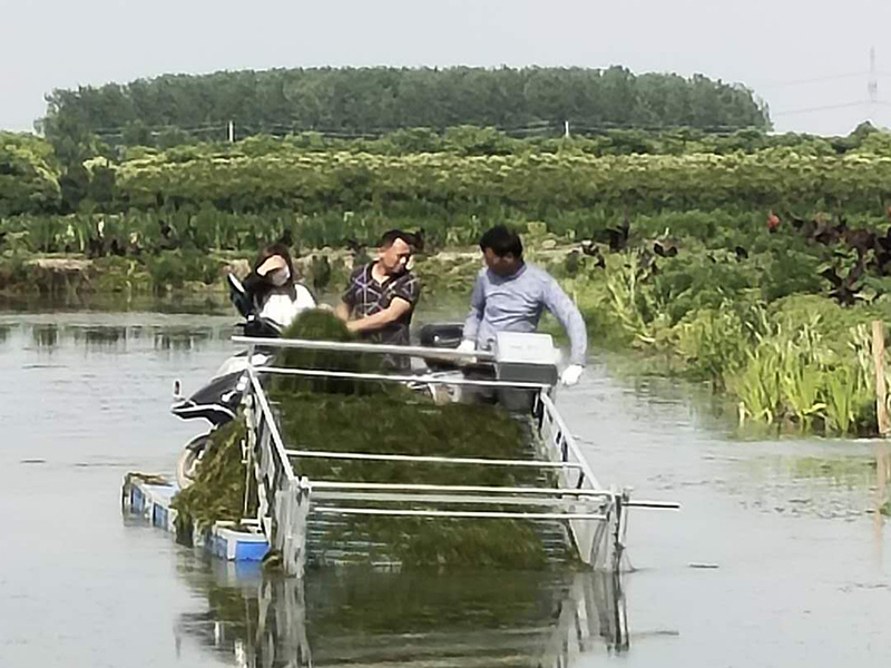 水上割草機(jī)