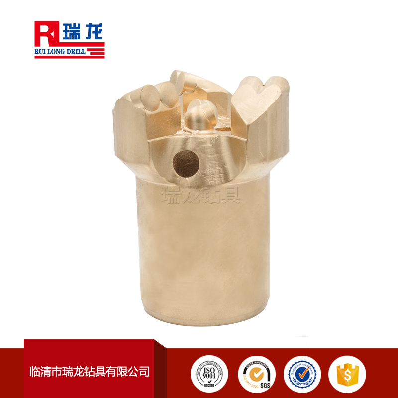 Φ94-N51-5.08金剛石復合片鉆頭 瑞龍鉆具