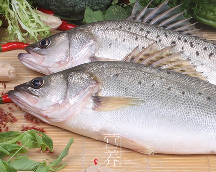 食材配送
