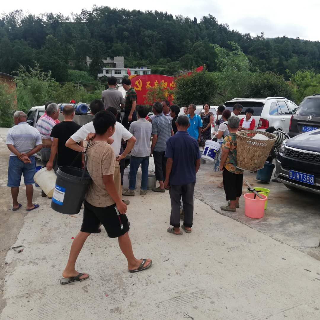 魚苗發(fā)放現(xiàn)在圖