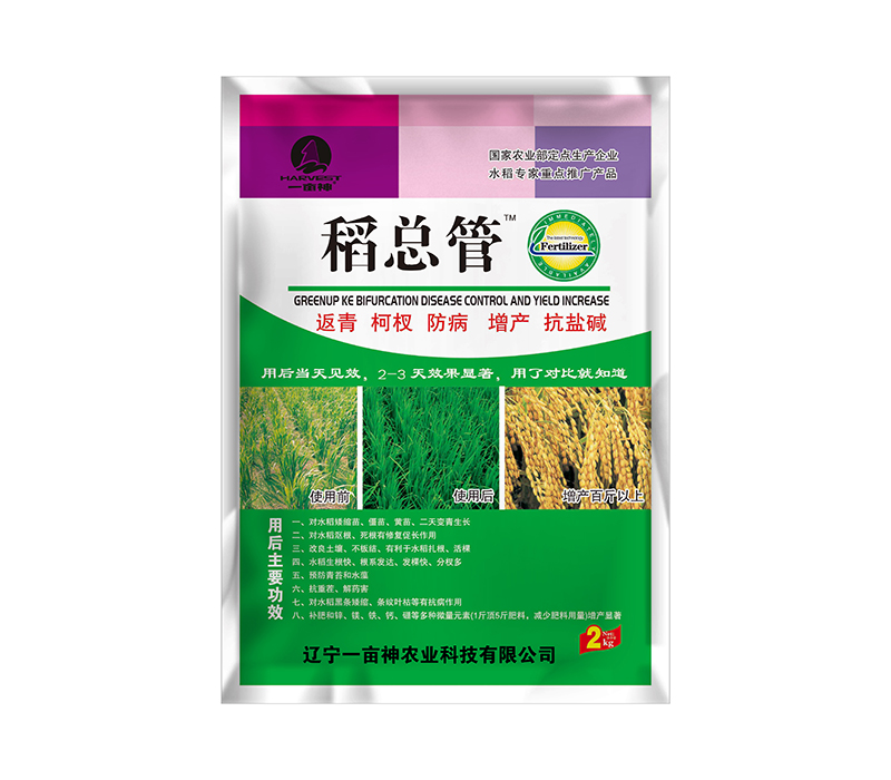 稻总管