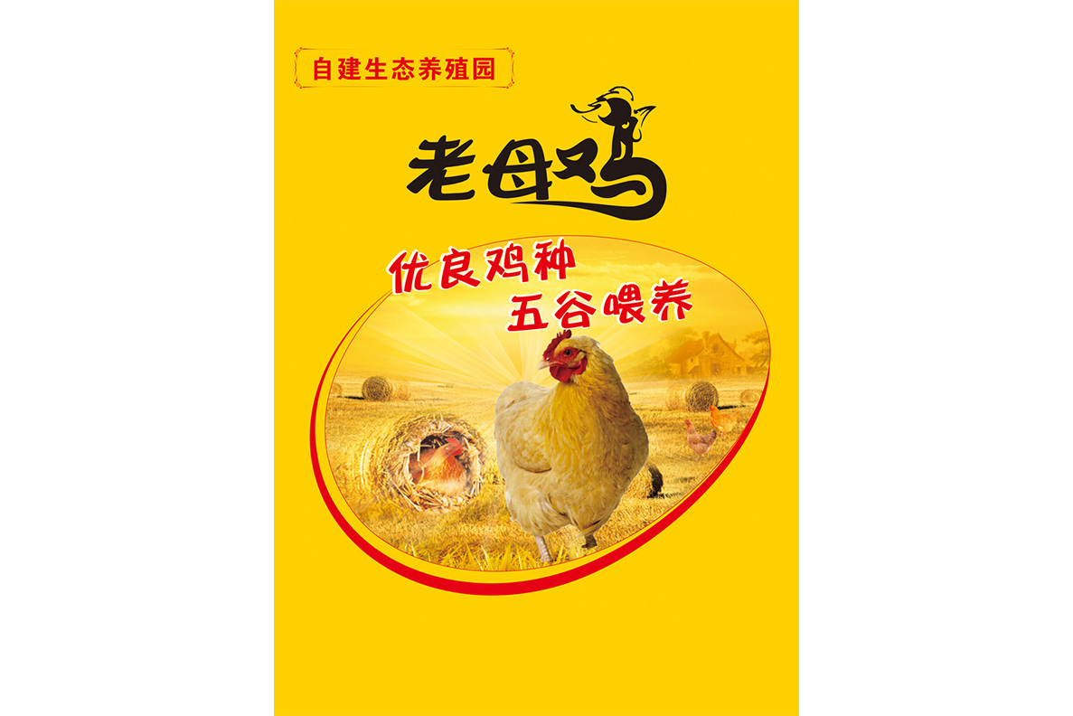 Shendan old hen 800g/2 ecologically farmed chickens fresh live chickens quick-frozen fresh-keeping SF
