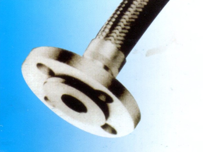 不銹鋼金屬軟管(BT-FL2)