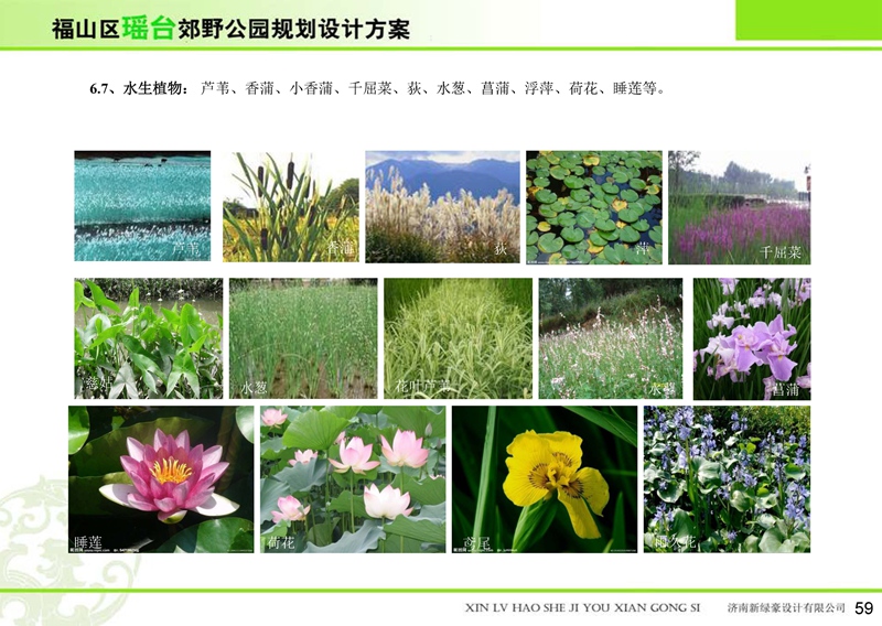 福山區(qū)瑤臺郊野公園 福山區(qū)瑤臺郊野公園