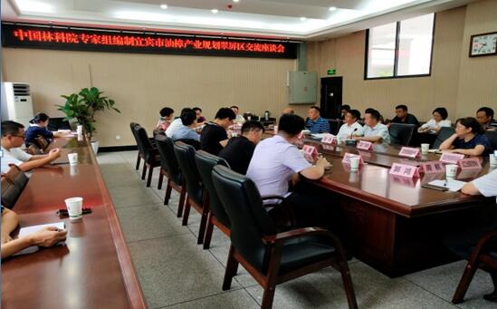 宜賓市油樟產業規劃編制專家組到翠屏區調研