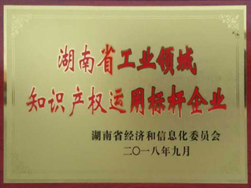省知識(shí)產(chǎn)權(quán)標(biāo)桿企業(yè)