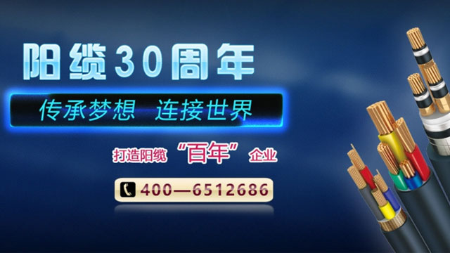 山东k8凯发集团电缆集团有限公司 山东k8凯发集团电缆集团有限公司
